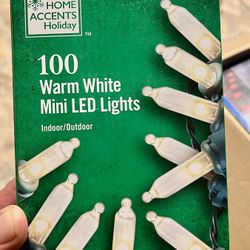 HOME ACCENTS Holiday | 100 Warm White Mini LED Lights Indoor/Outdoor. 28 + 10 in Lighted Length • Includes 2 Spare Bulbs and 2 Fuses
