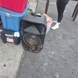 Party speaker