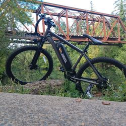 Electric Bike