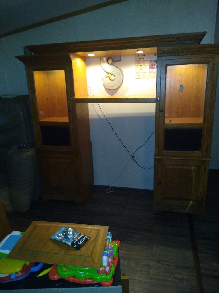 Lighted Display Case Curio Cabinet