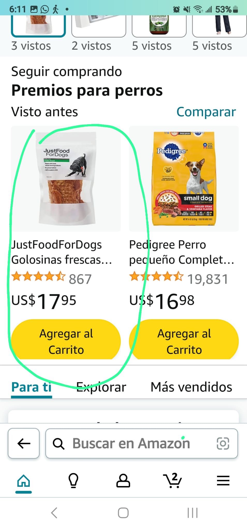 Dogs