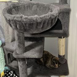Cat tree With Scratch Post