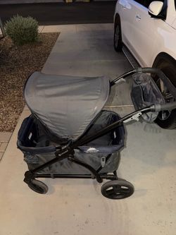 Baby Trend Expedition 2-in-1 Stroller Wagon