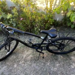 7 Speed Cruiser Bike Tuesday Bike Model March 7