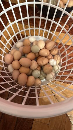 Organic Eggs 4$ A Dozen