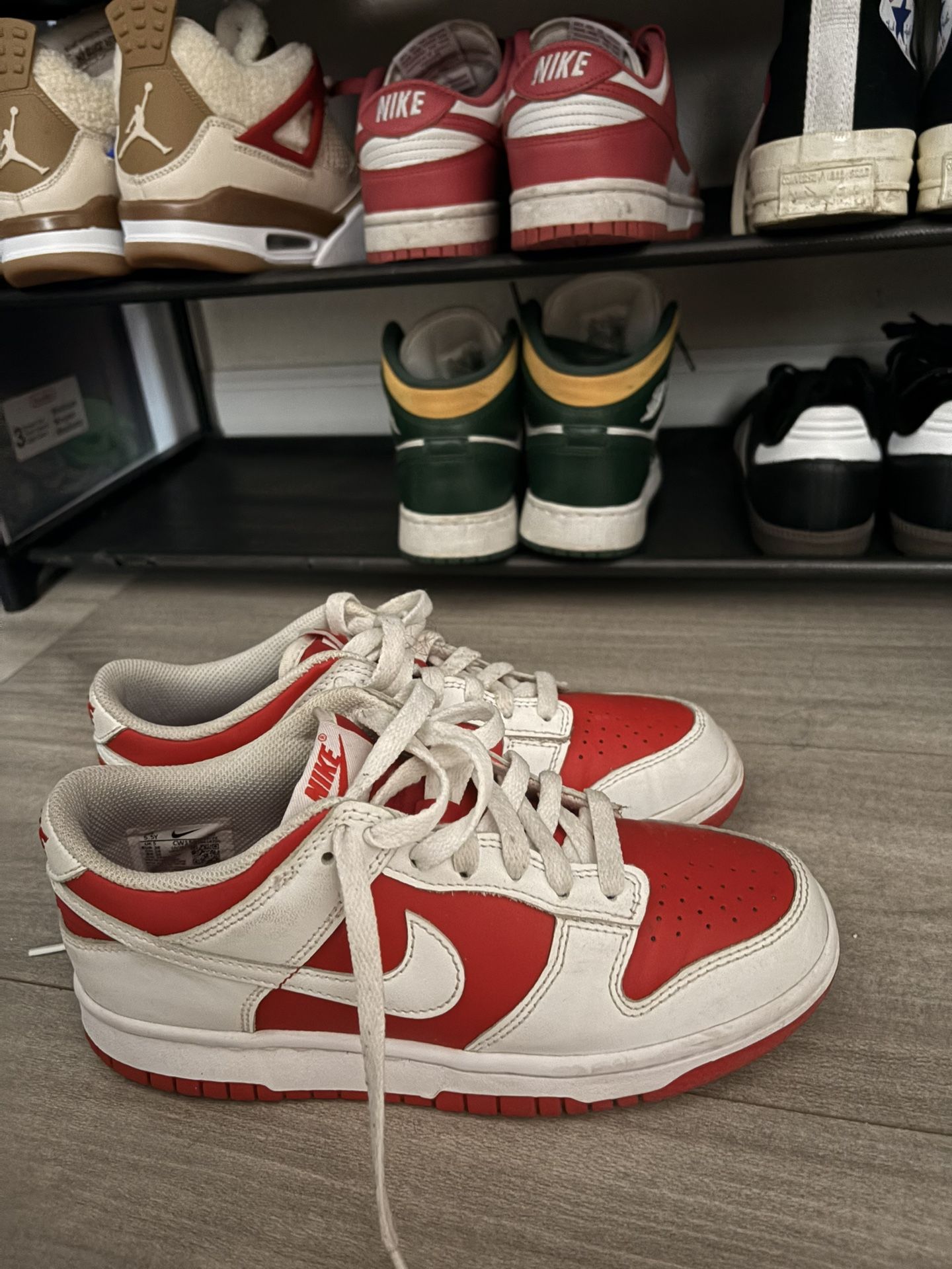 goul4711フィリピネスドワーフ　102.104.110セット Amazon.co.jp: P.coronarium Philippines Dwarf① @bikamori.com