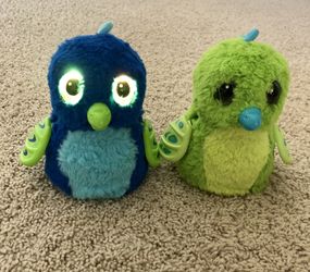 Hatchimals, Hatching Egg, Interactive Creature, Draggle, Blue/Green Egg by Spin Master