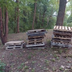 Wood Pallets 