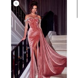 Portia And Scarlett PS22193