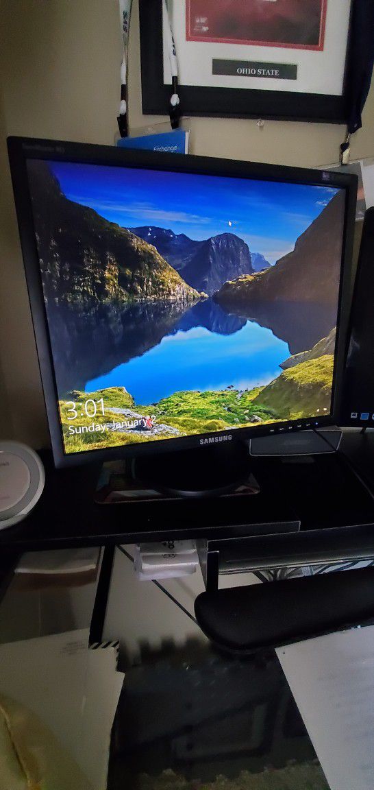 Samsung Computer Monitor (19" Screen)
