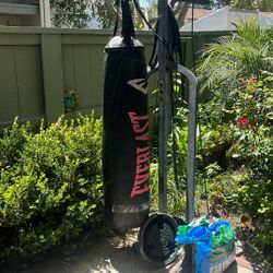 Heavy Bag And Stand ( No Rope Or Chain To Hang) 