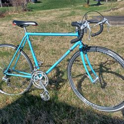 Zebra Comet 10 speed