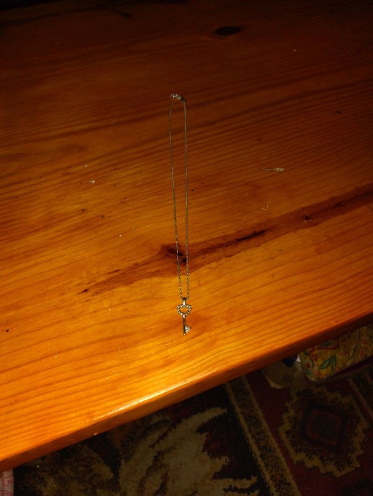 Sterling Silver Necklace And Charm