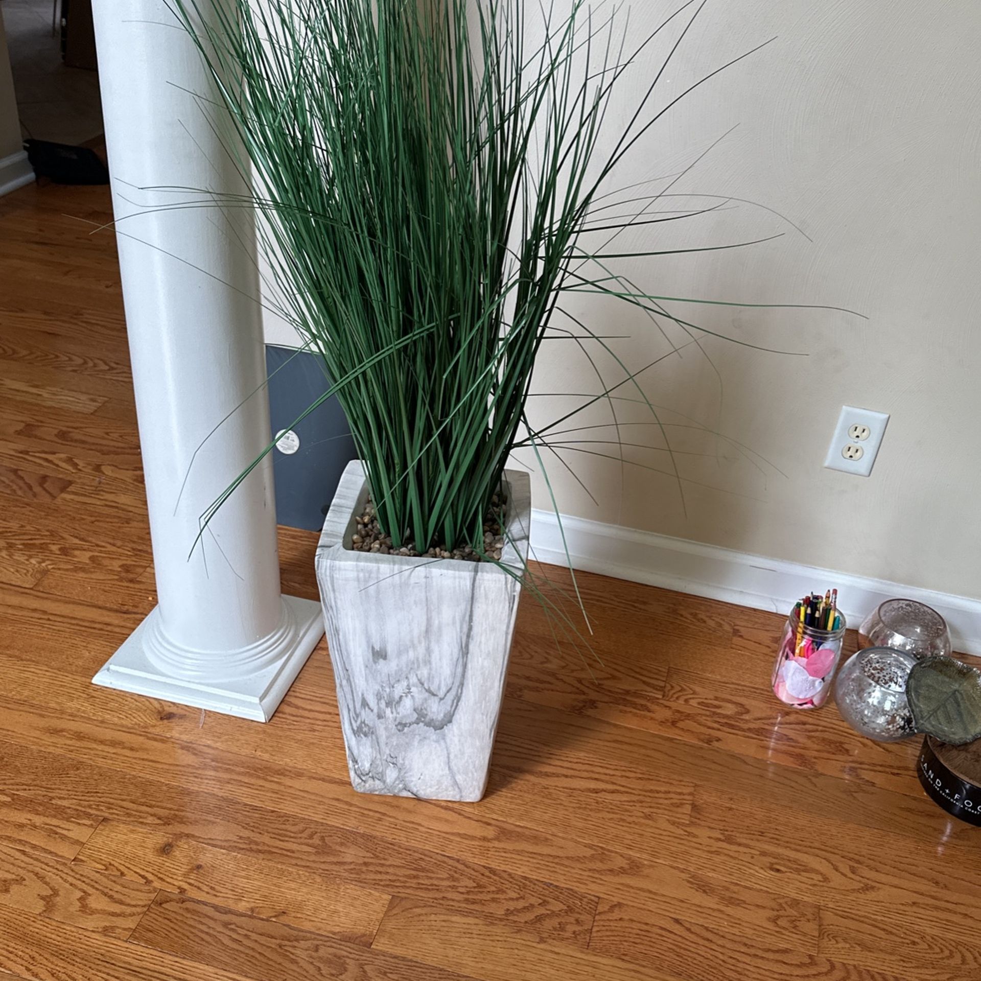 Plant