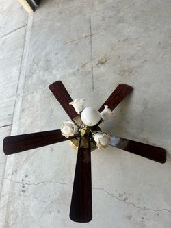Ceiling fan