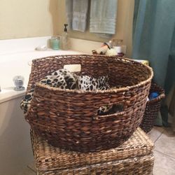 Pet Bed