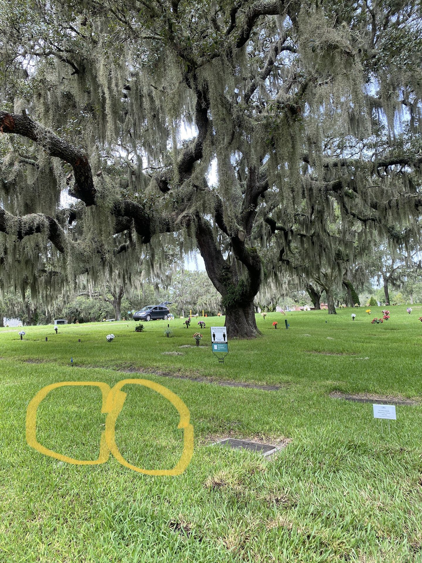 Cemetery plots in Oaklawn Park