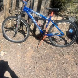 Specialized Mountain Bike