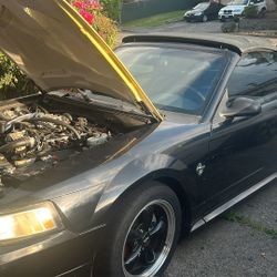 1999 Ford Mustang