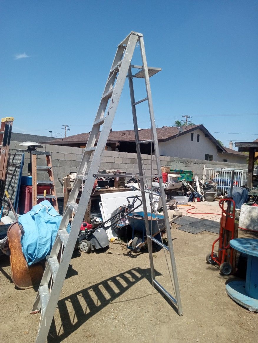 12 Foot Painters Ladder