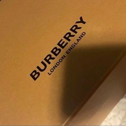 Size 10 Burberry Sneakers Men