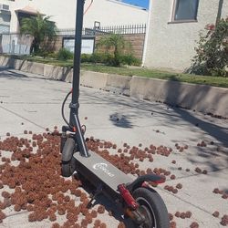 Electric Scooter Eco Road Glendale.