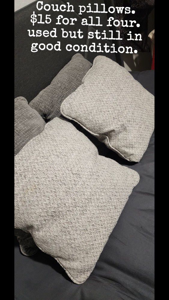 Couch Pillows/ Decor Pillows