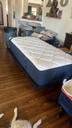 Dream Cloud TwinXL mattress and adjustable bed frame