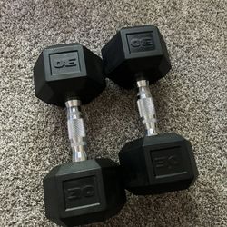 30 lb Dumbbells