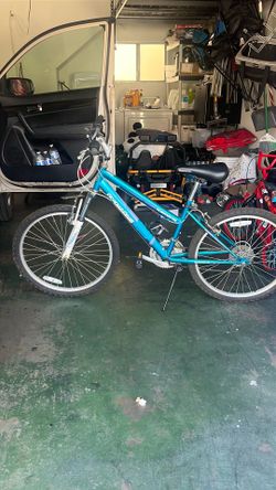 Women’s RoadMaster Bike