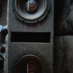 Massive Audio Dual 10's 