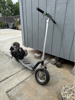 Goped go Ped
