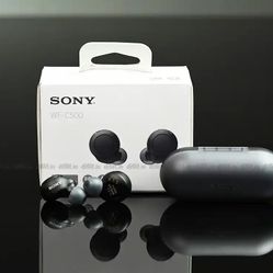 Sony WF-C500 Earbuds