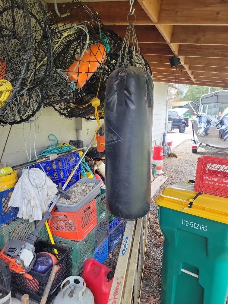 Punching Bag Professional. Century Heavy