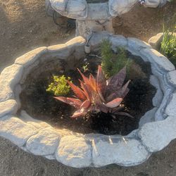 Stone Pond