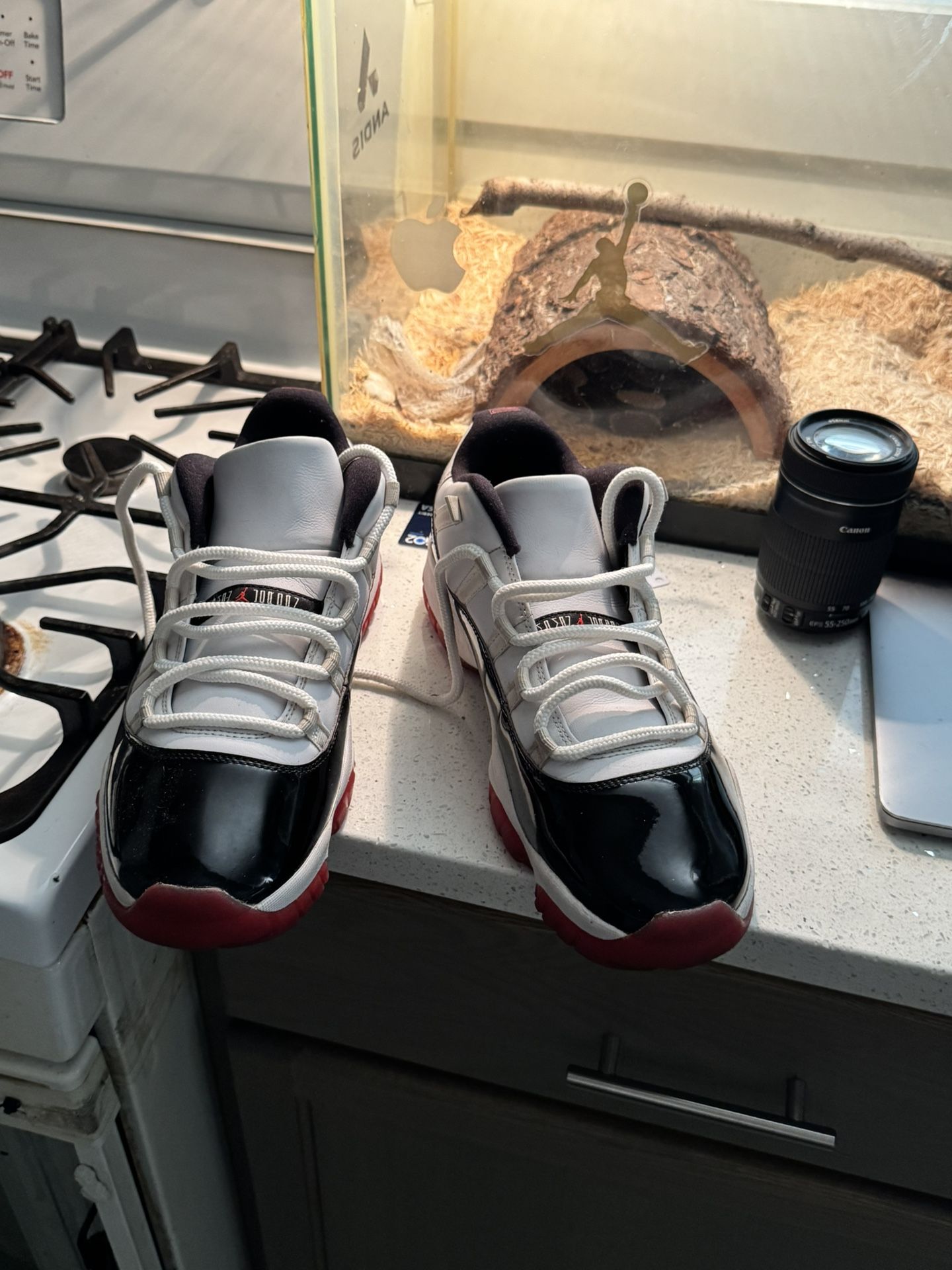 Jordan Concords Retro