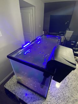 Fish Tank For Sale ! 