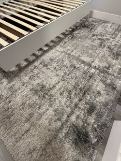 Area Rug