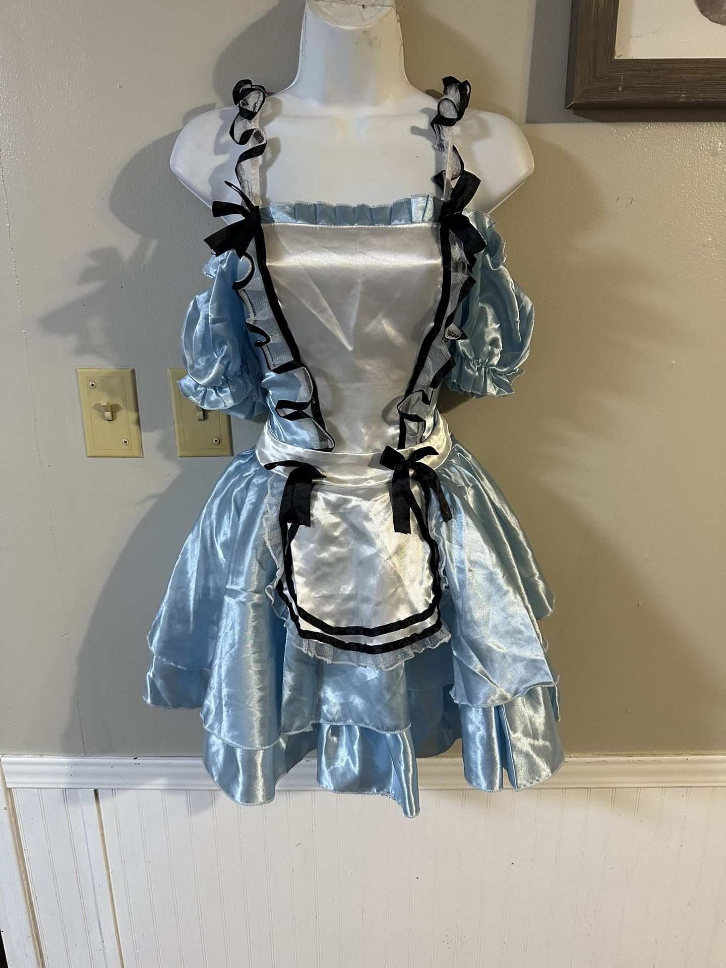 Alice Costume