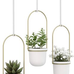 Brand New Planters