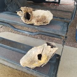 Saguaro Boots