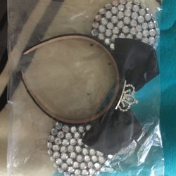 Dazzled Disney Ears
