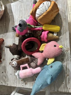 10 Dog Toys