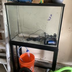 Aquarium Or Tarrerium Setup With Stand
