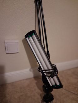 Fluorescent Desk Lamp with Adjustable Arm