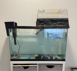 30 Gallon Tank