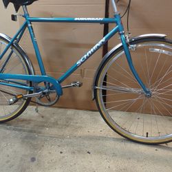 Vintage Schwinn Suburban 