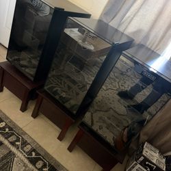 Cigar Humidor