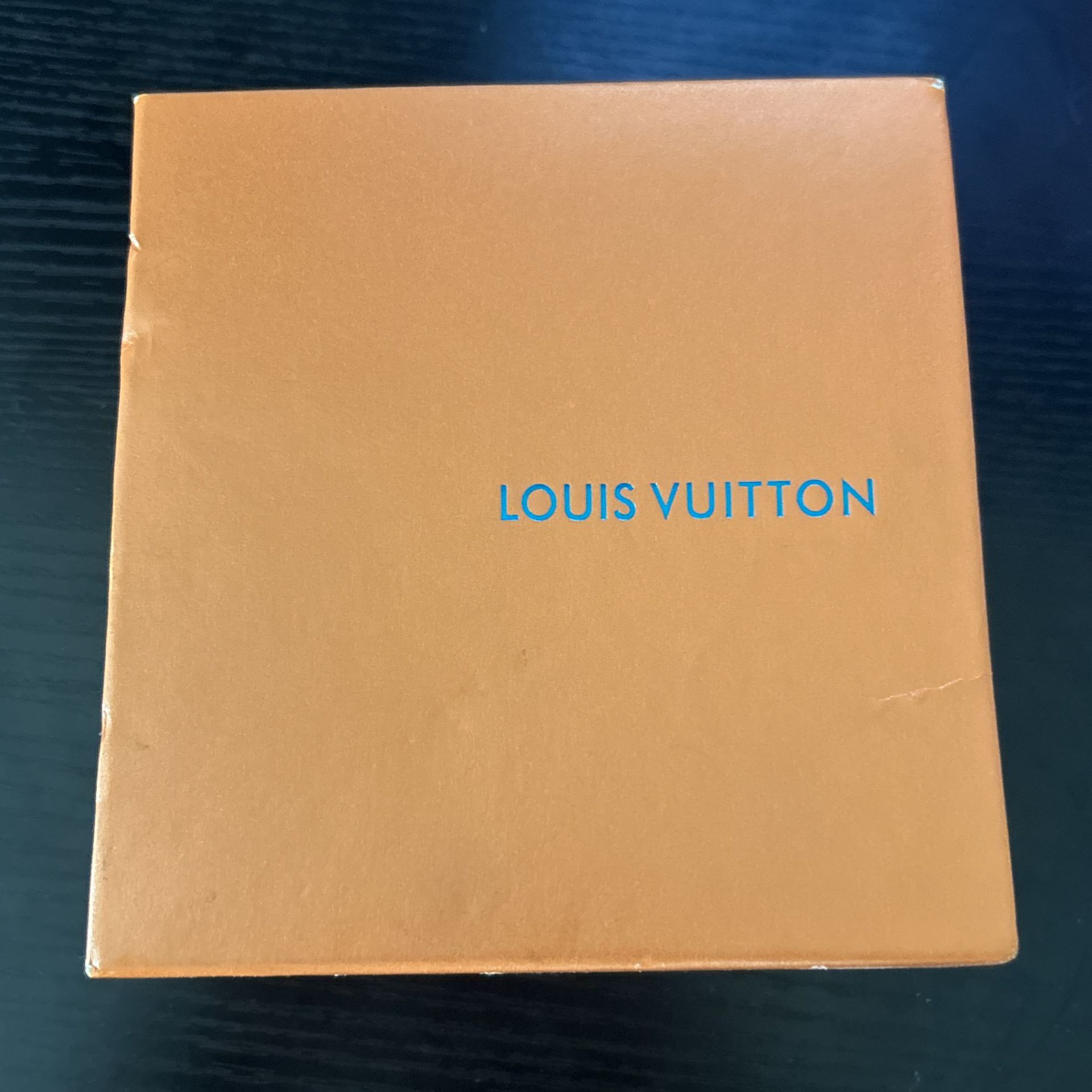 Louis Vuitton Belt CHECK CAPTION