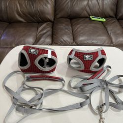 Small Dog /Puppy Harness With Leash (2 Sets Available)